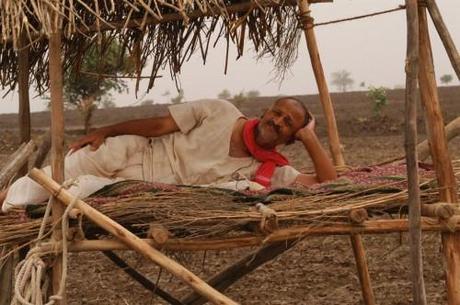Le pacha Un Seigneur qui Ram