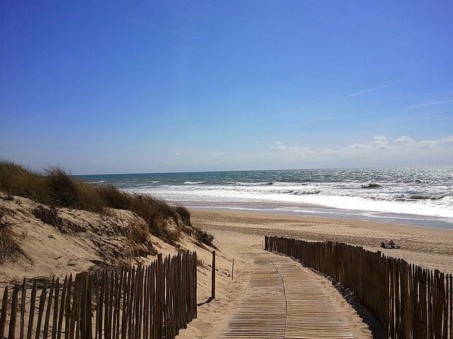 Fabriquer ses propres cosmétiques capillaires : par où et comment débuter ?