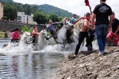 Gaze d'Alès : l'abrivado du gardon !