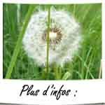 plus-dinfos-2-copie1