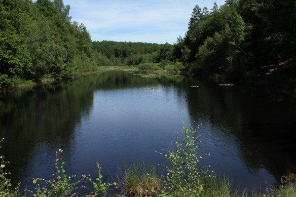 Etang vu de la digue