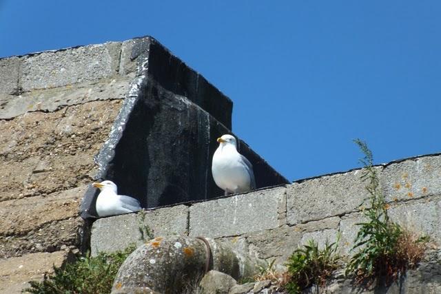 les artistes en Erdre plus  quelques cacaratouilles