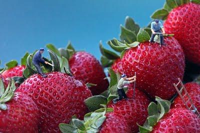 Wonderful World of Food of Tiny People
