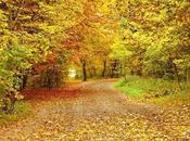 True colors comme .....Ombrage