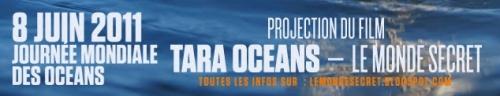 océans,tara,mer,