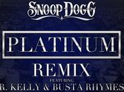 Téléchargement Snoop feat. Kelly Busta Rhymes Platinum (Remix)