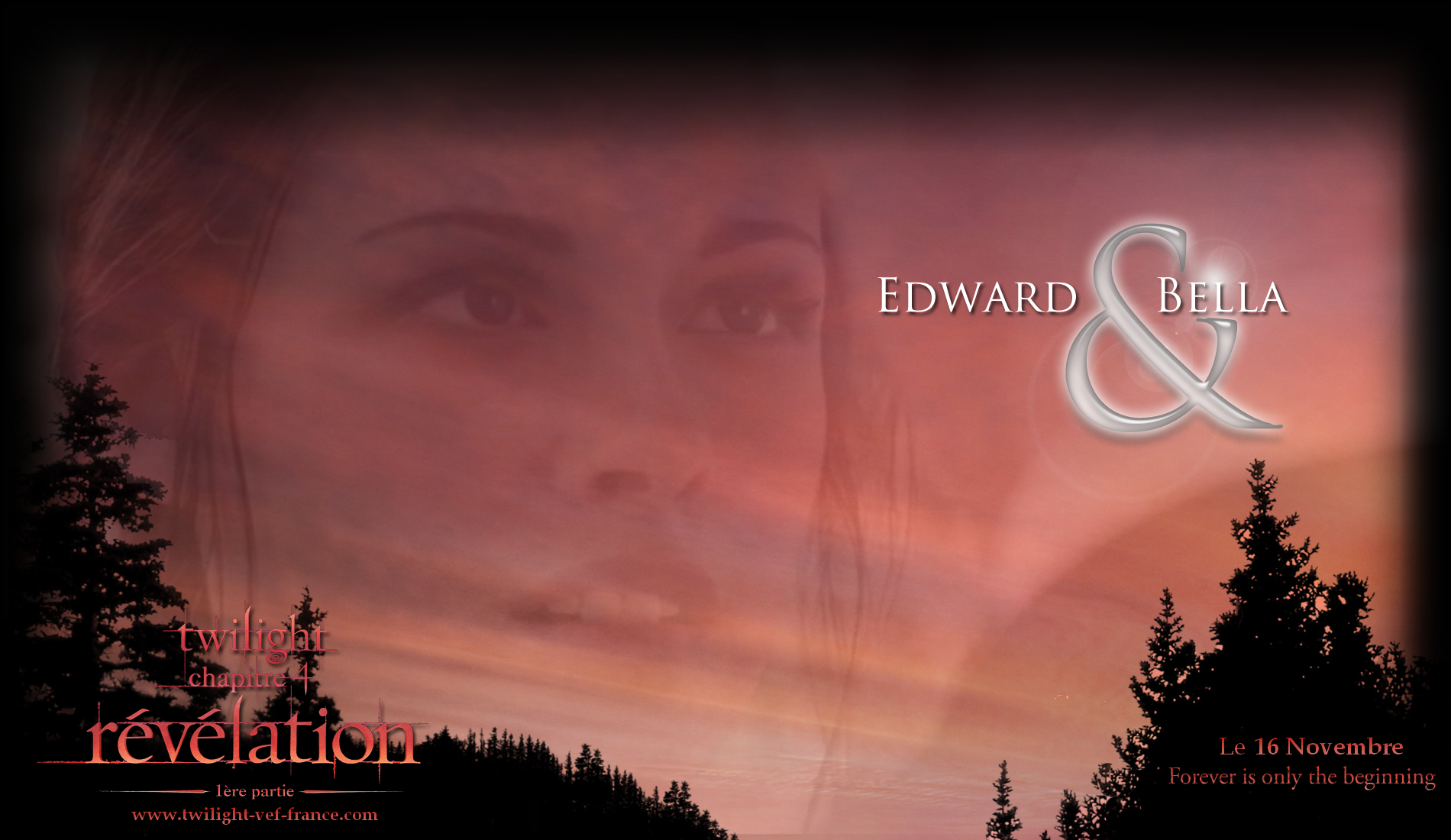 [FANMADE] Création Breaking Dawn