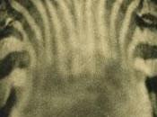 Nouvel espace dédié photographie contemporaine Paris