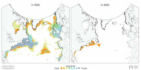 L’alliance OCEAN2012 pour transformer la Politique Commune de la Pêche