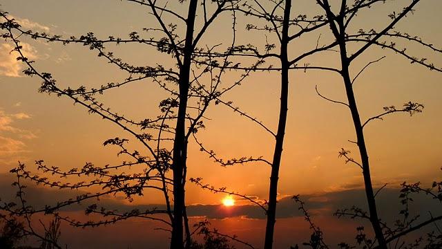 mercredi tu rêves ou quoi?