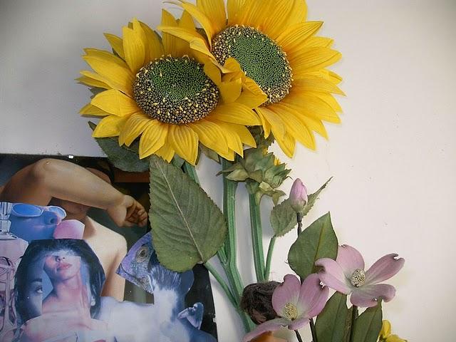 mercredi tu rêves ou quoi?