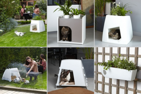 Pousse creative est sur direct-d-sign !