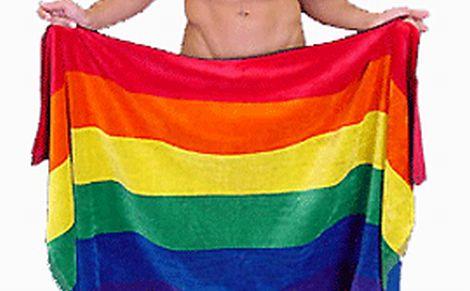 http://static.mcetv.fr/img/2011/06/gay-pride.jpg