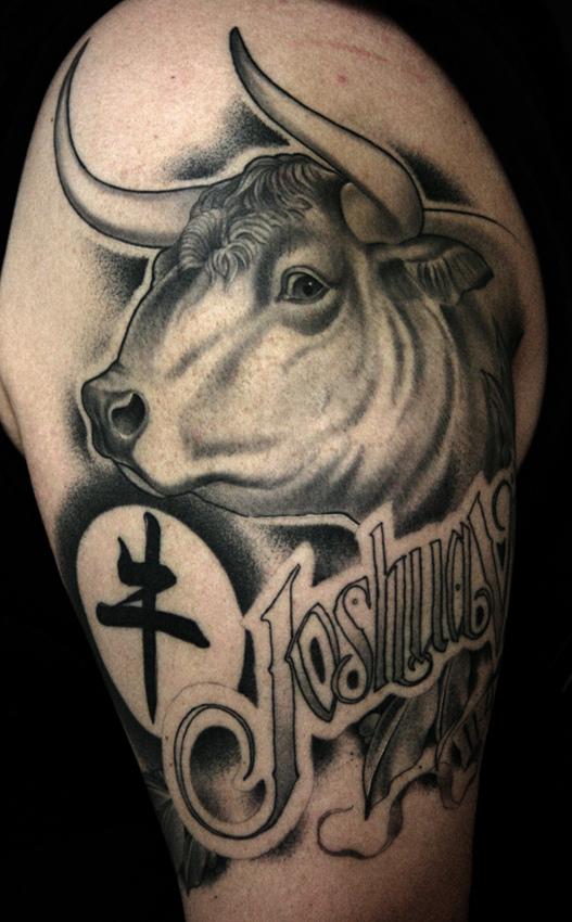 3 DAYS RUN WITH JAMES SPENCER BRIGGS