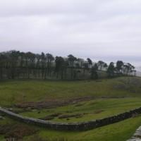 Des biocarburants à partir de whisky?