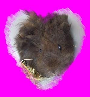 Bienvenue Minidoux !