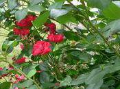 Arrivée plein travaux