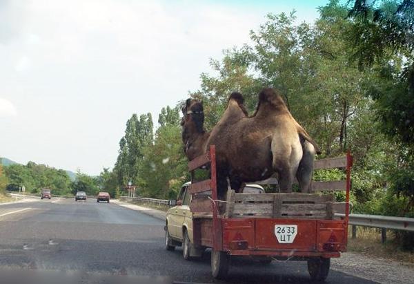 utilisation de son auto