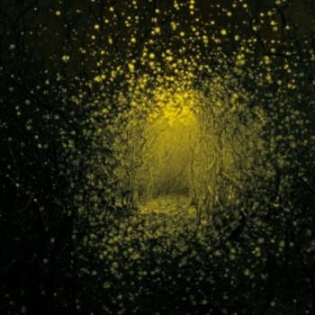 The Antlers - Burst Apart