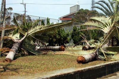 Typhon sur Okinawa