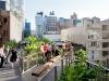 nyc-high-line-falcone-flyover1