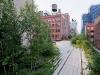 nyc-high-line-chelsea-thicket