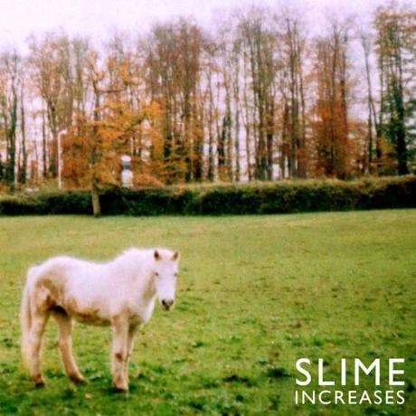 Slime: First Cape - MP3
Le jeune producteur londonien Will...