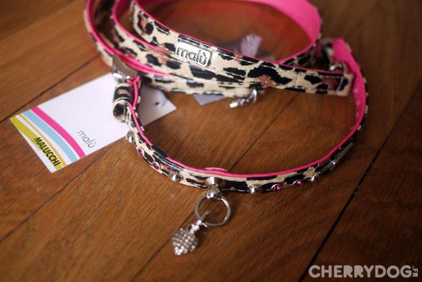 Les colliers et laisses pour chiens Malucchi