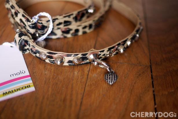 Les colliers et laisses pour chiens Malucchi