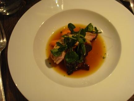 20101218 Spring 04 poule fisanne Spring, décembre 2010 (ChrisoScope)