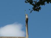 paro-tron radioactiéu