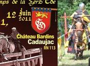week-end n'oubliez pas!!!... fête médiévale Cadaujac