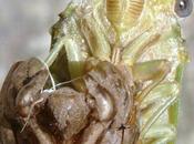 Après temps estival, pluie fraîcheur journal juin 2011