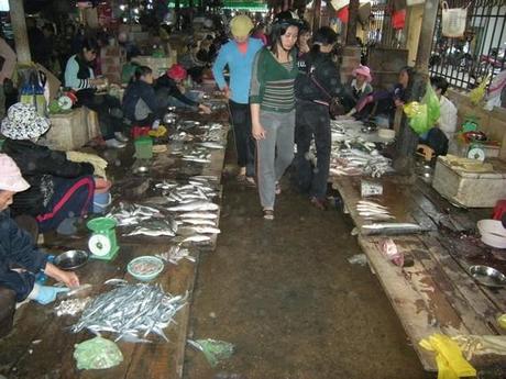 marché aux poissons sur l'île de Cat Ba marché aux poissons sur l'île de Cat Ba