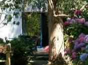 BRETAGNE maison dans Morbihan