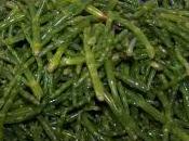 salicorne l’aster herbes marines découvrir