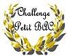 challengepetitbac