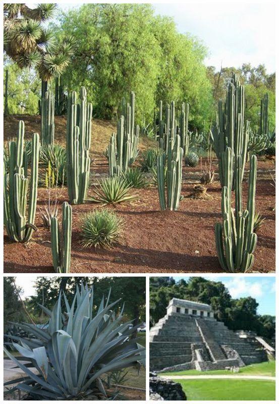 Récemment mis à jour9