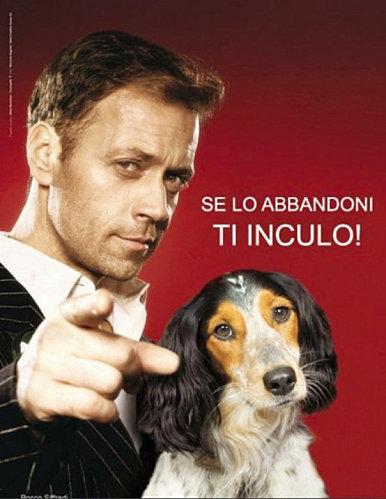 Rocco-chien.jpg