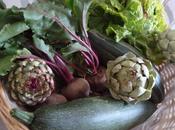 retour motte, juin 2011