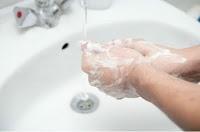 comment se nourire sans risque de bacteries