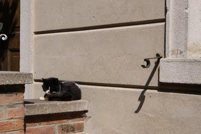 SIRE SURIÀN (5e épisode)