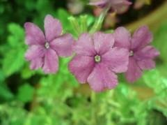 photos,photoshop,logiciel,retouches,essais