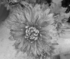 photos,photoshop,logiciel,retouches,essais