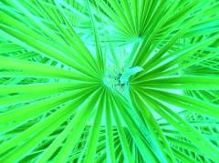 photos,photoshop,logiciel,retouches,essais