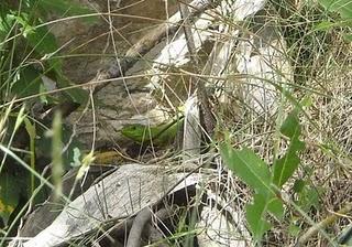 À la conquête du Mont Marjan