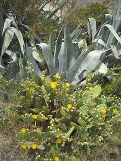 À la conquête du Mont Marjan