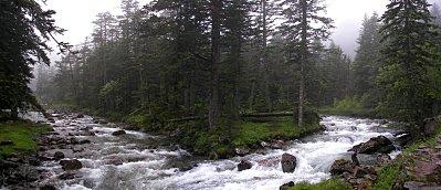 07-08-compo chemin des cascades