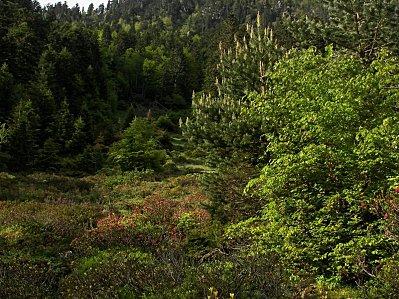 05-Vallée du Marcadau 2