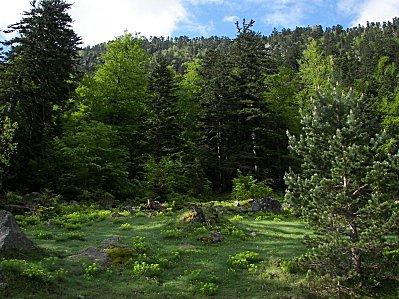 06-Vallée du Marcadau 3